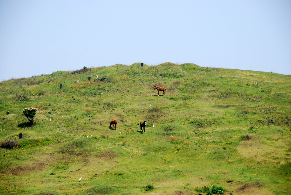 제주도 여행 - 섬속의 섬 우도의 우도봉을 오르며 바라본 성산일출봉과 제주바다.. 그리고, 사람풍경.. ^^
