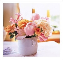 02110C3F51A7146A0C754F