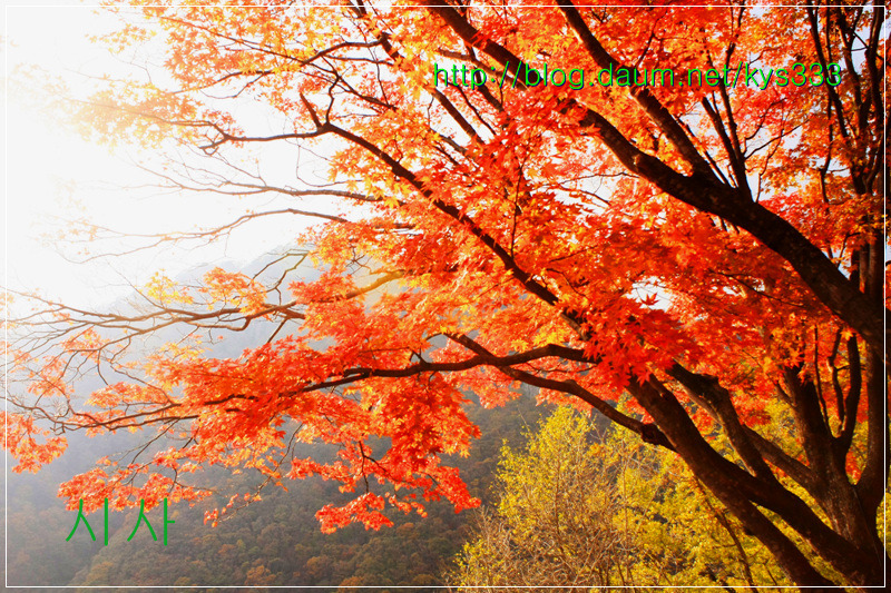 만추의 백양사 아름다운 단풍 2탄...2012. 11월 7일