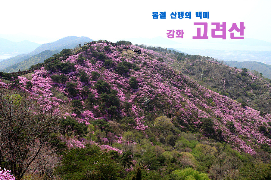 강화 고려산 후기 - 뽐뿌:등산포럼 강화 고려산 후기