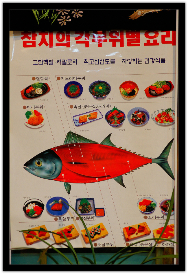 청참치 이미지