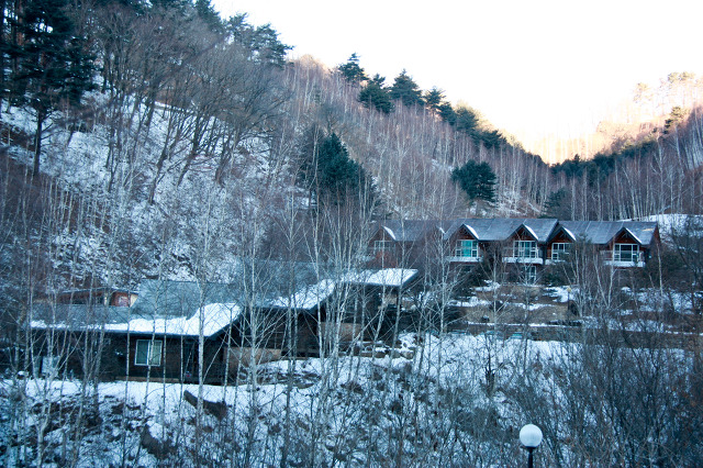 국립복주산자연휴양림 이미지