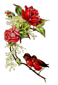 16505C504D5104461BE6C3