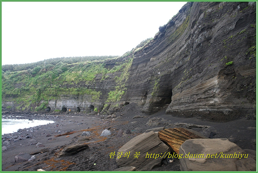 제주해안 풍경-한강의 꽃