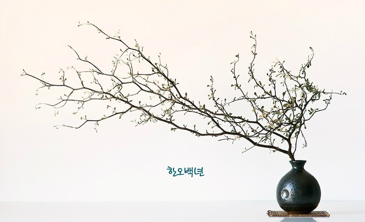 한오백년 이미지