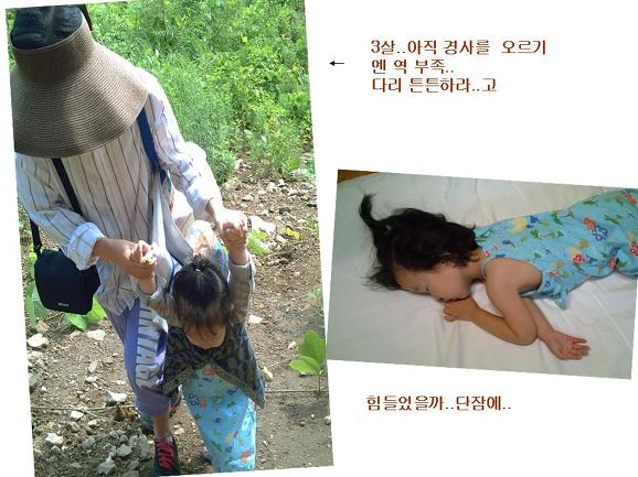 청솔매 이미지
