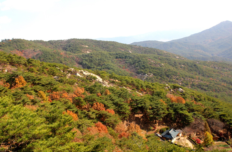 남산 이미지