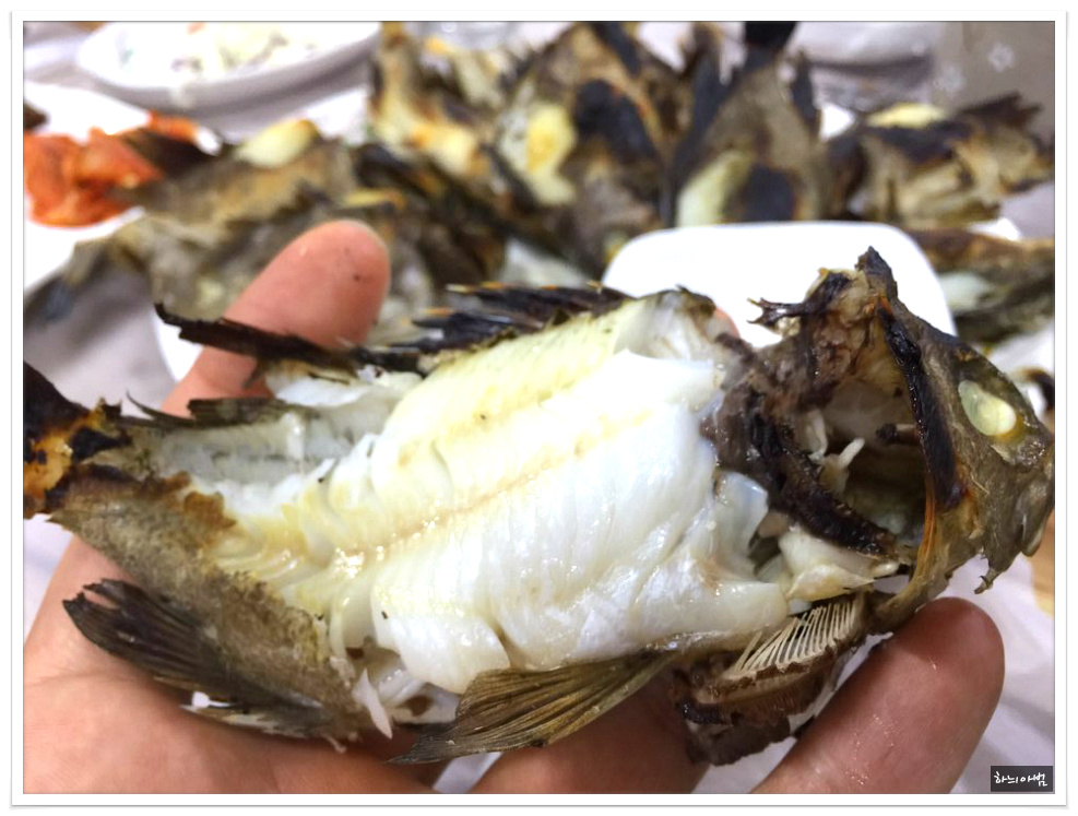 <통영/중앙시장>뽈락구이,병어돔회,멍게비빔밥,갑오징어찜,도다리지리탕..태웅관 - 전북/전주 지역 추천맛집 태웅관 후기