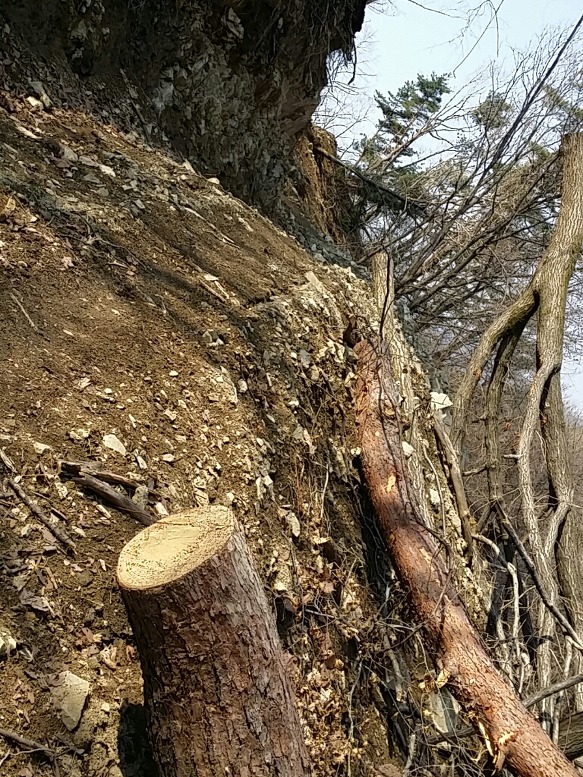꽃밥이야기 이미지