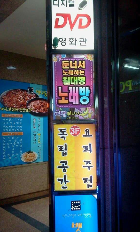 술푸마 이미지