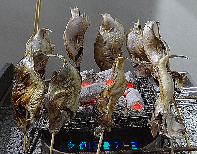 사카나 이미지