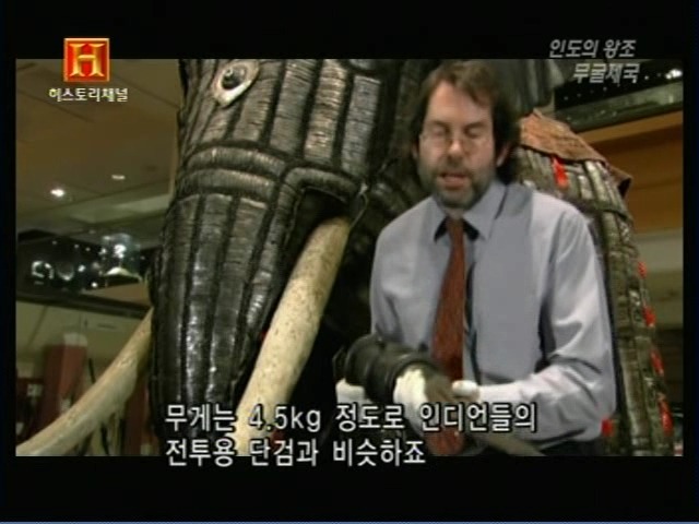 인도의 무굴 제국에서 사용한 전투 코끼리 갑옷 | 인스티즈