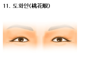 도화눈에 대한 이미지 검색결과
