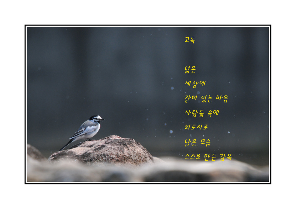 이해인수녀님 .용혜원님 시