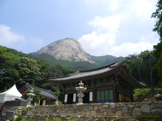 북한산 노적사, 북한동 향나무