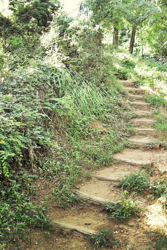 호림공원 이미지