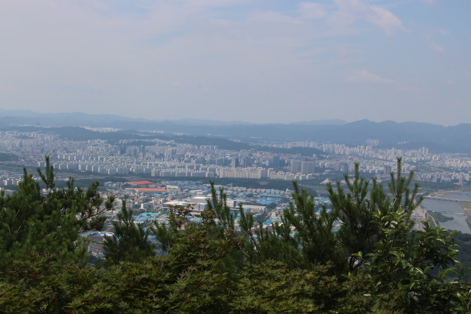 계족산 황톳길과 장태산 메타쉐콰이어 숲에서 힐링을(16.6.25)