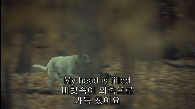 이젠홍콩인지욕망인지모르겠는미드 한니발(Hannibal) 시즌2 에피 6 Futamono (2/4) (시체주의) | 인스티즈