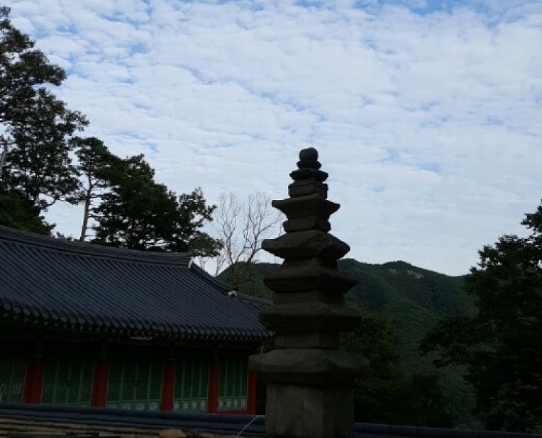 미련없이 그 장소를 버리고 허공으로, 운수납자(雲水衲子)로 묘사된 백조