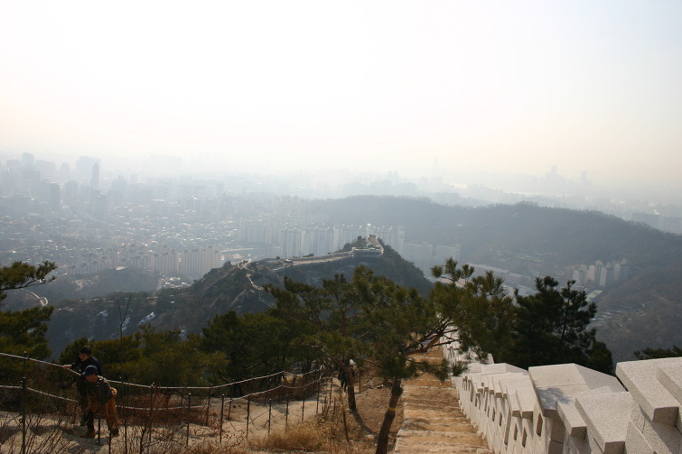 이미지