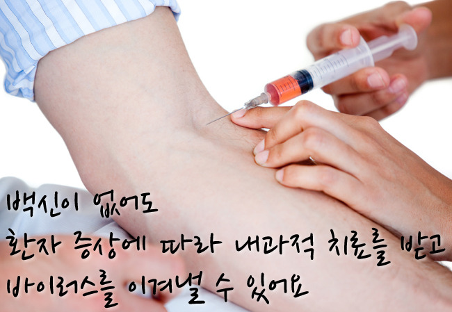소참 이미지