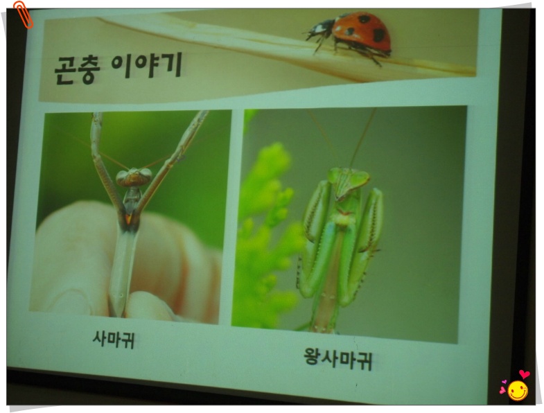안수정 이미지