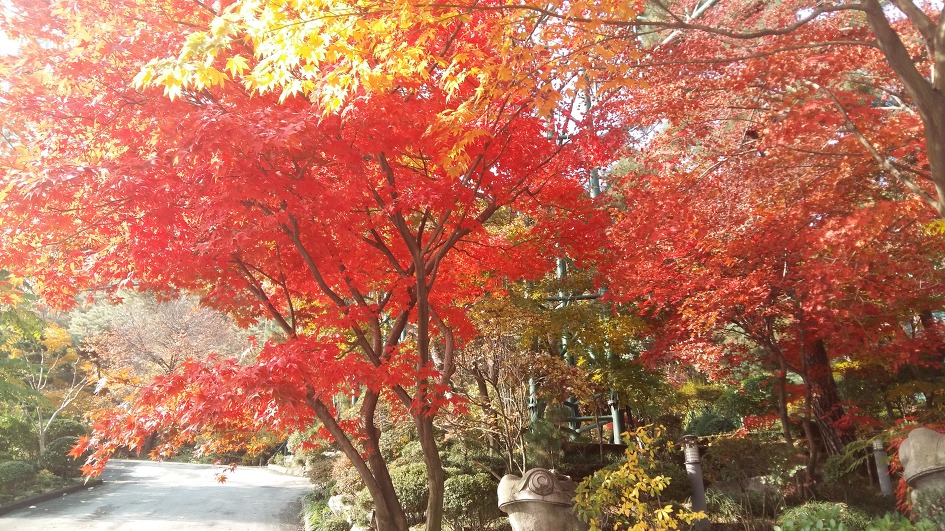가을을 보내며