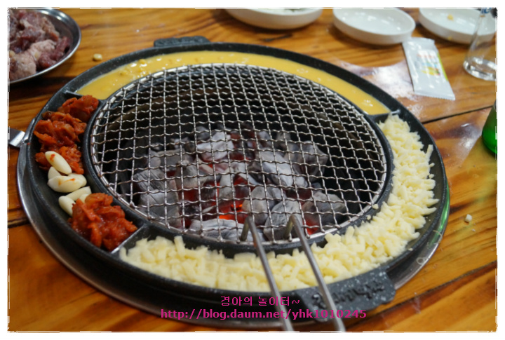 갈매기먹짱 이미지