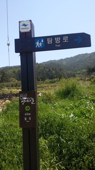 밀.밭두렁 이미지