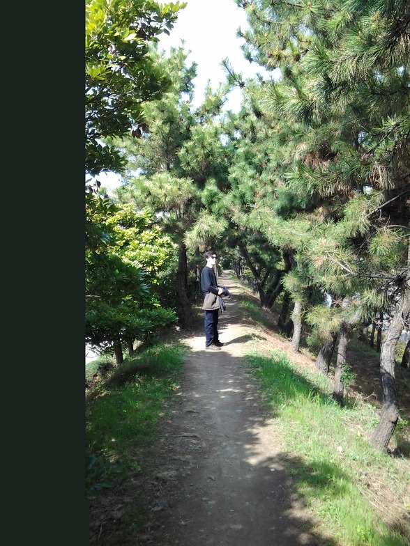 추억의글 보관용.