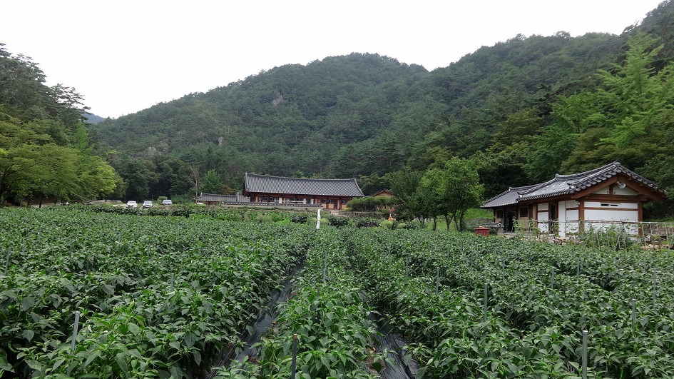 천축산 불영사 (경북 울진)