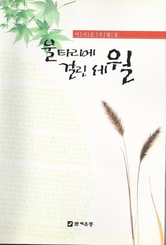 표지 및 책 소개