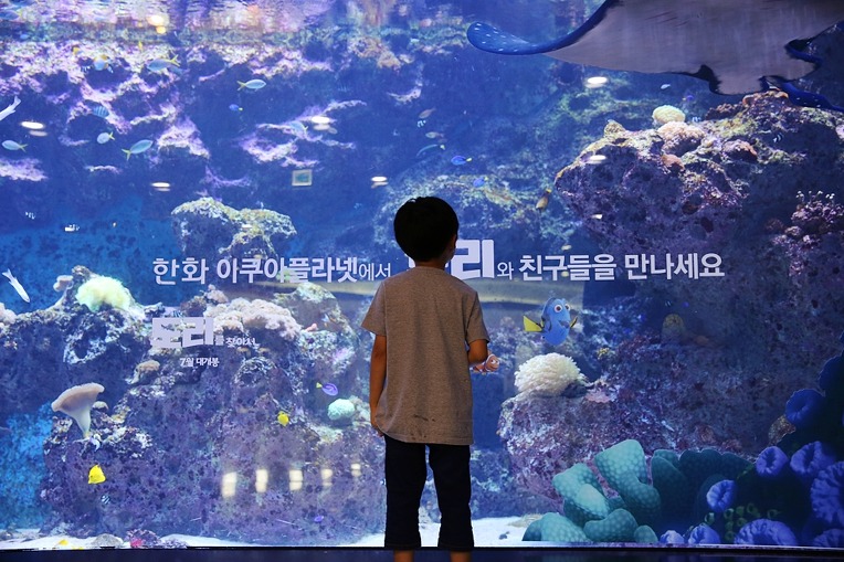 코스데이즈 이미지