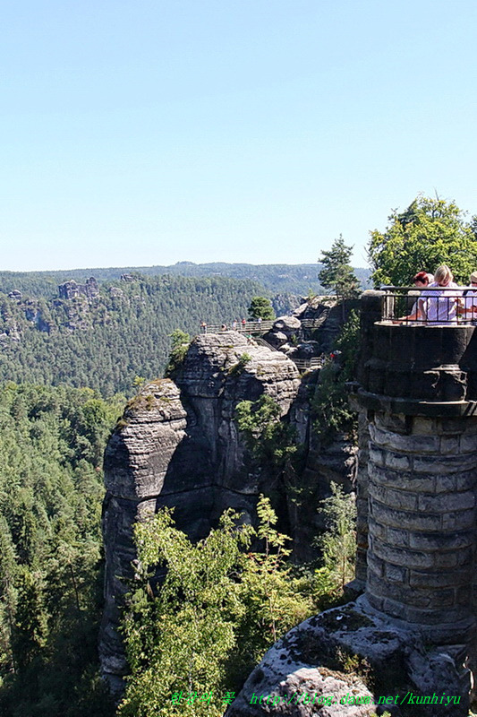 독일의 야생화-한강의 꽃