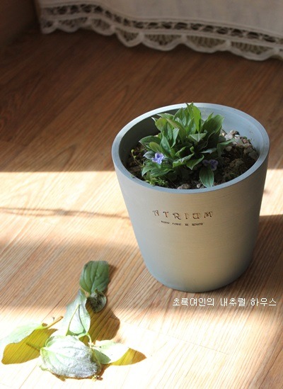 봄꽃에서첫눈까지 이미지