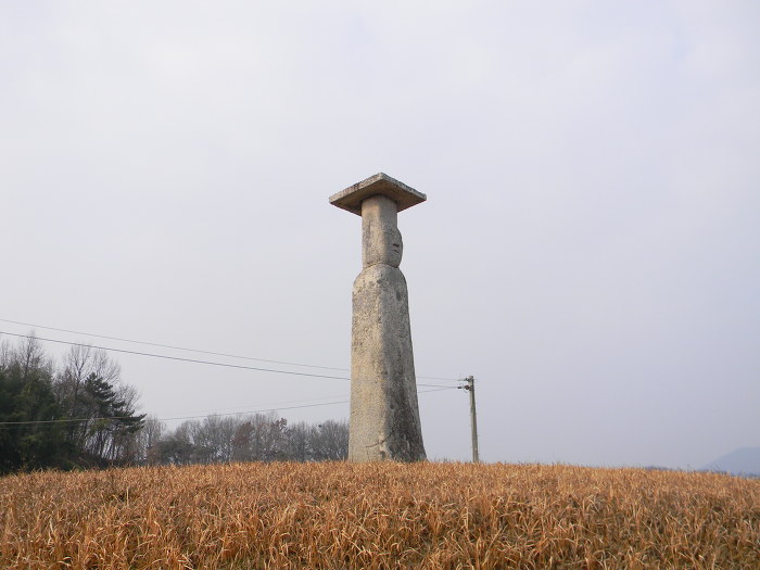 서로 애타게 바라보고 있는 익산 고도리 석불입상 (석조여래입상)