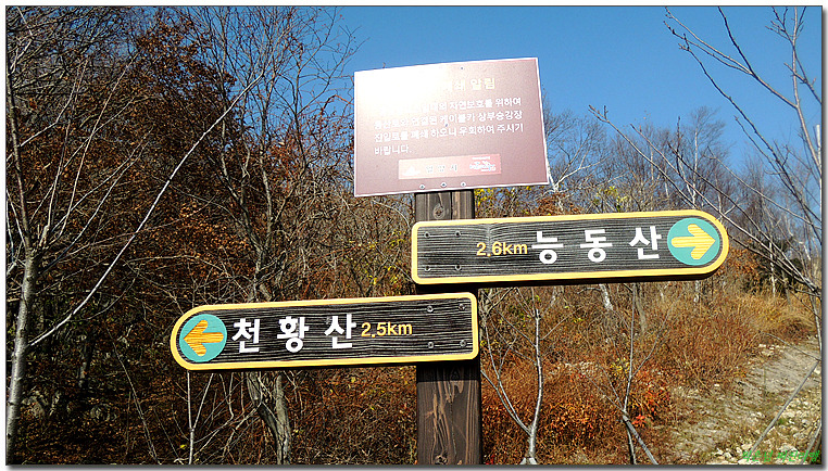밀양상회 이미지