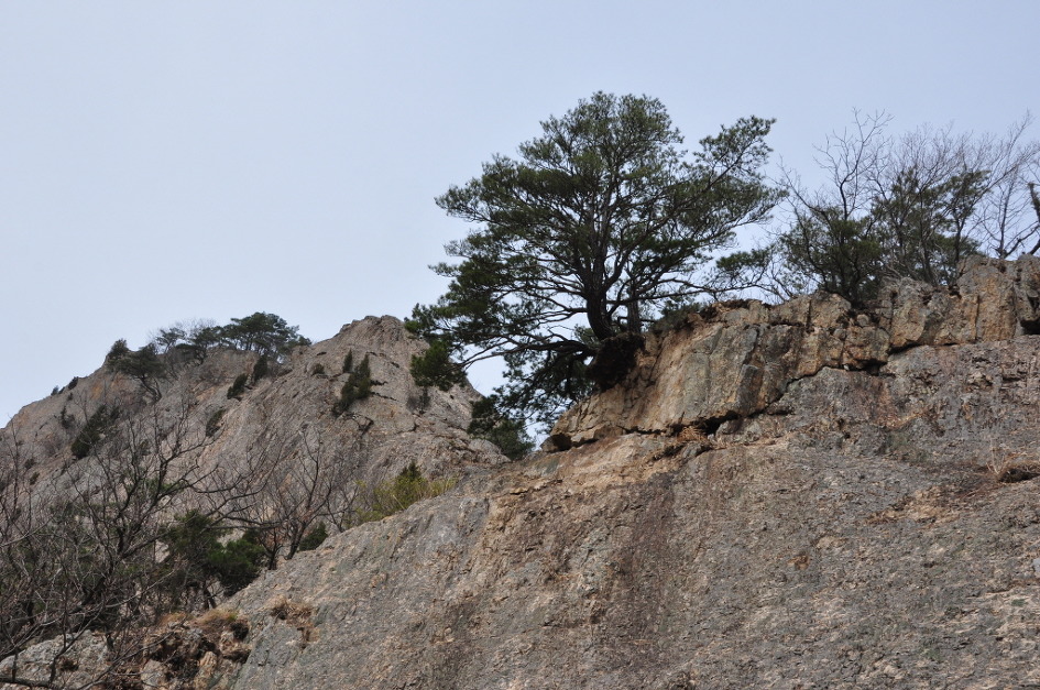 변산자연휴양림 이미지