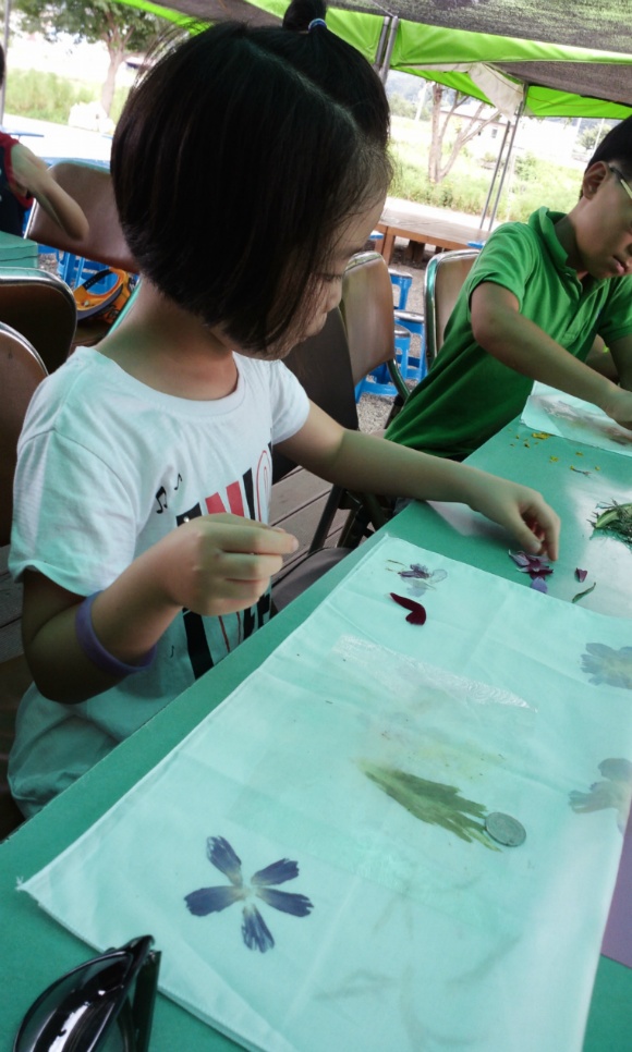 273C0D4F53DDD34D2B9C2A