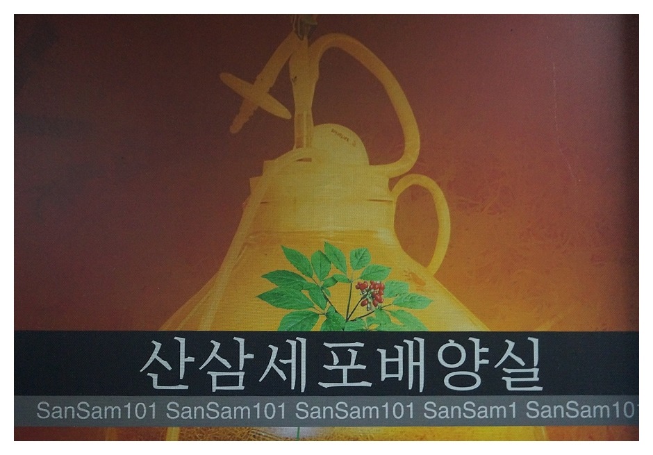 석부작박물관 이미지