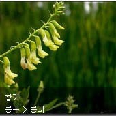 꽃이름 찾기