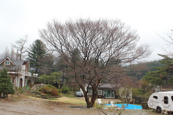 로코코캠핑장 이미지