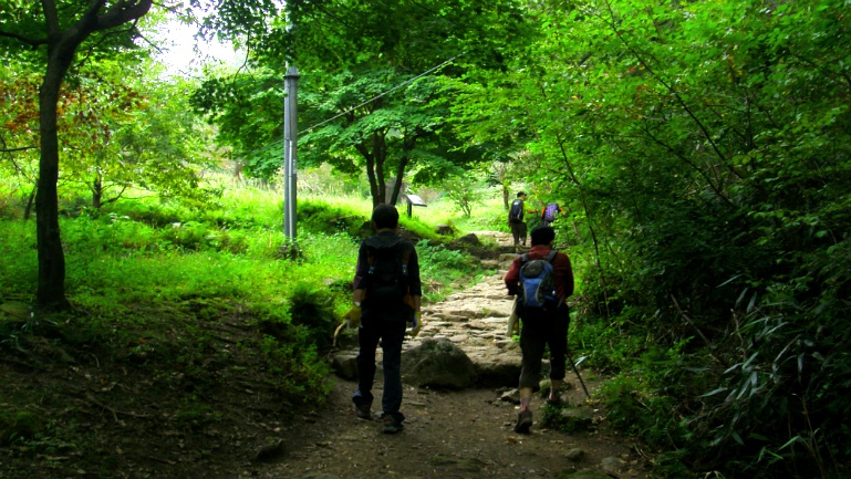 2772F847541996B30FE7C8