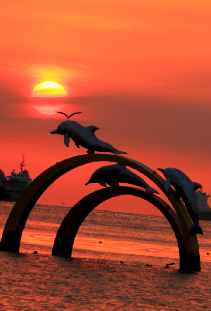 부산 송도와 천마산에서 본 일출 (19.1.25 ~2,1)