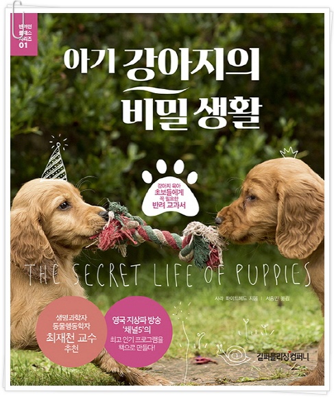 더블클릭을 하시면 이미지를 수정할 수 있습니다