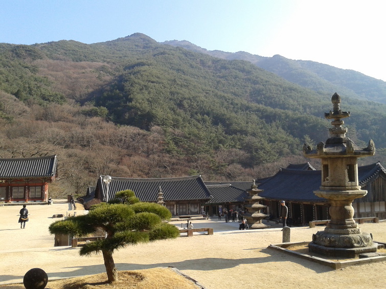 초야에 묻힌삶