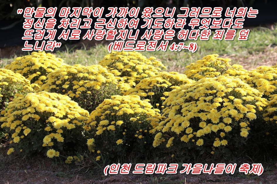 <베드로전서 4장 7절~8절 말씀> 