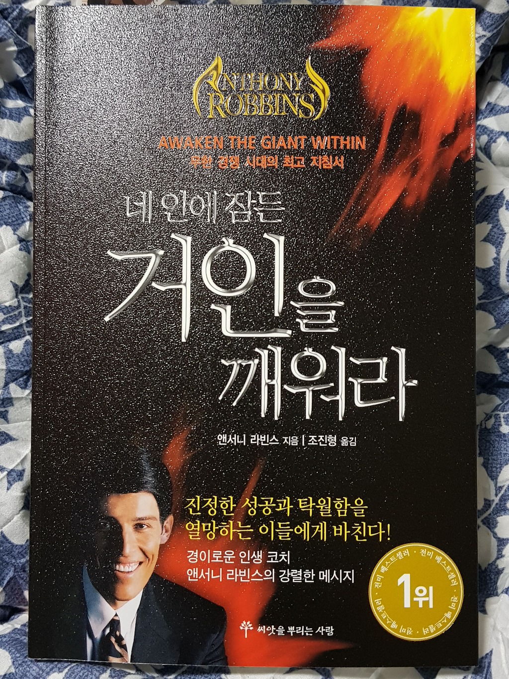 책 네 안에 잠든 거인을 깨워라 신경연상회로가 우리의 결정에 영향을 미친다는데 어렵다.
