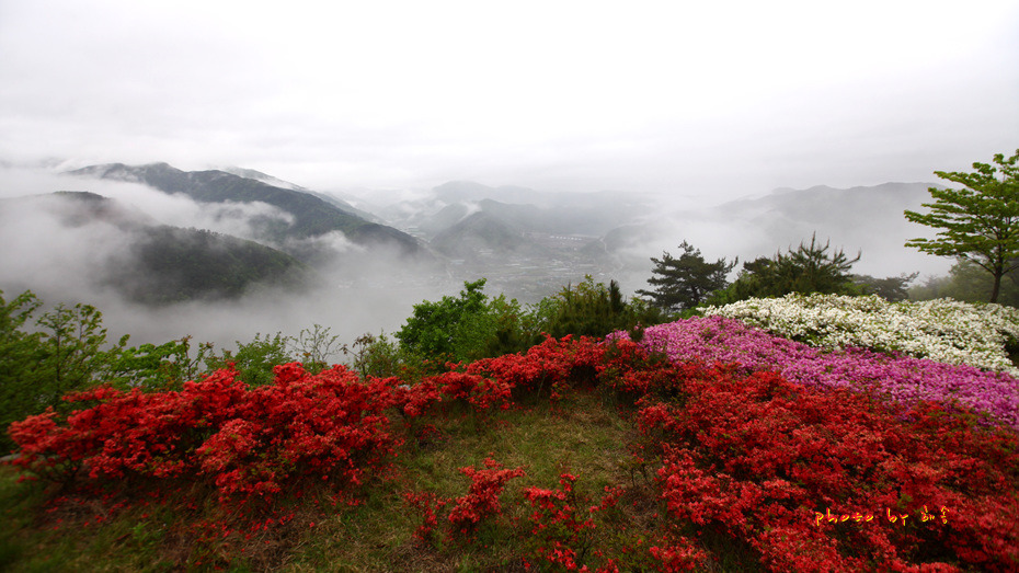 노고단에서 만난사람..201805.05