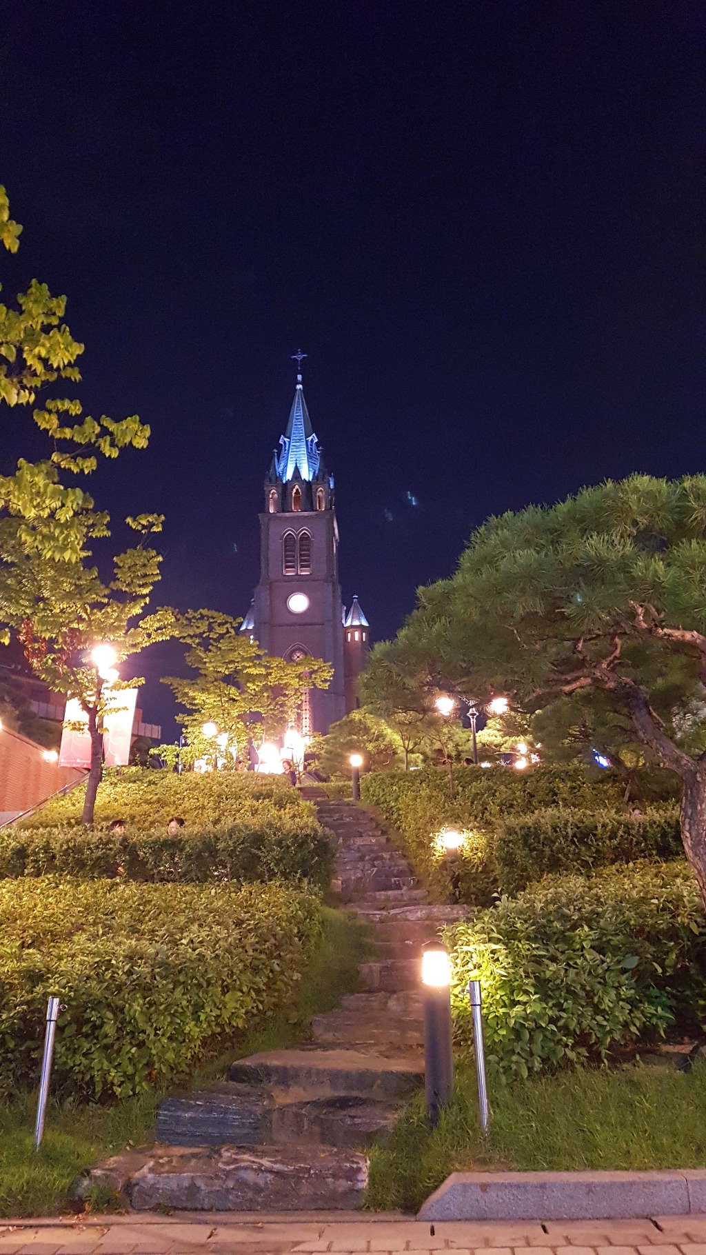 밤에 가본 명동성당